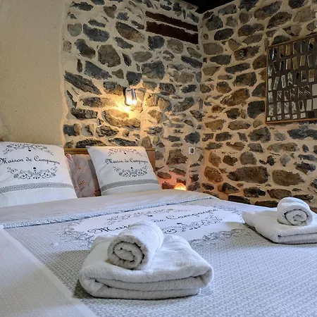D'exception Avec Spa, Jardin Paysage Et Equipements De Gamme A Blanlhac - Fr-1-582-201 Venkovský dům *