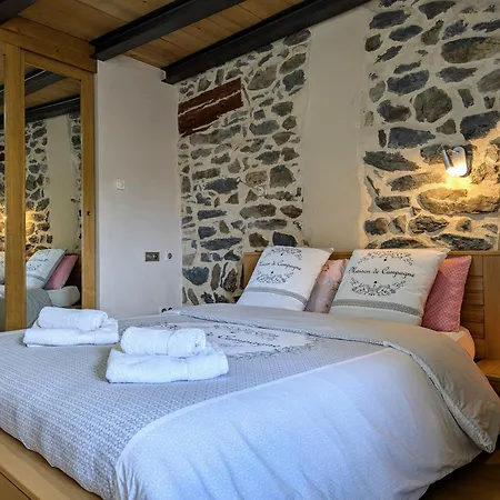D'exception Avec Spa, Jardin Paysage Et Equipements De Gamme A Blanlhac - Fr-1-582-201 Rosieres (Haute-Loire)