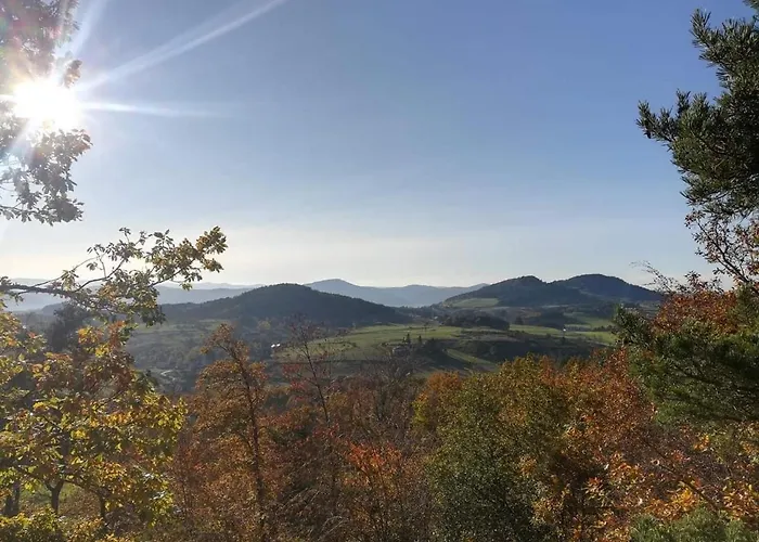 D'exception Avec Spa, Jardin Paysage Et Equipements De Gamme A Blanlhac - Fr-1-582-201