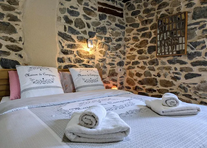 D'exception Avec Spa, Jardin Paysage Et Equipements De Gamme A Blanlhac - Fr-1-582-201 Holiday home *